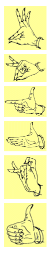 Hand Gestures